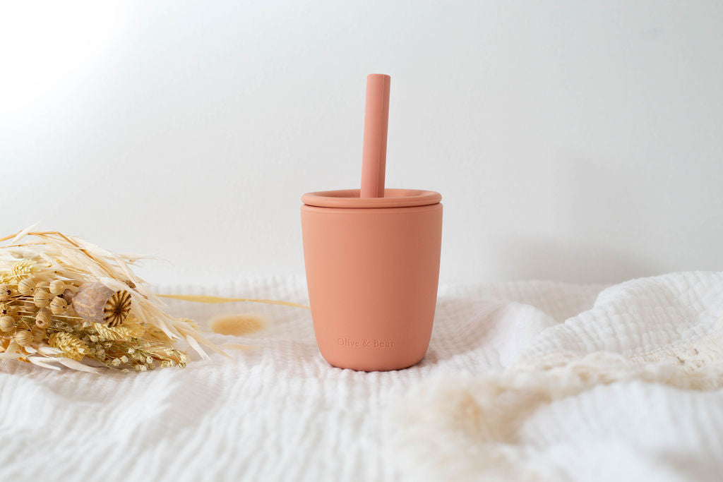 2-in-1 Silicone Cup & Straw